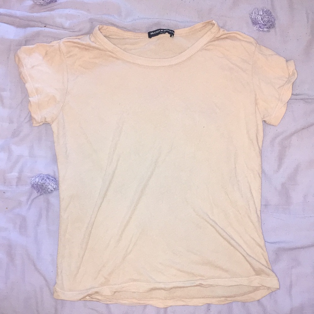 Brandy Melville Croped Tee Shirt